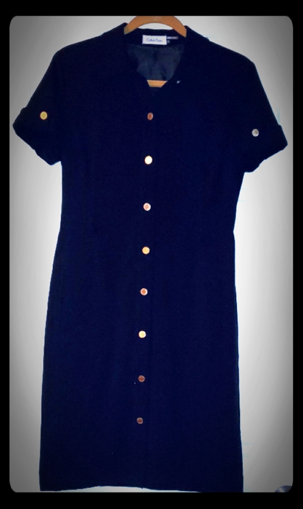 WORN ONCE Calvin Klein Shift Dress